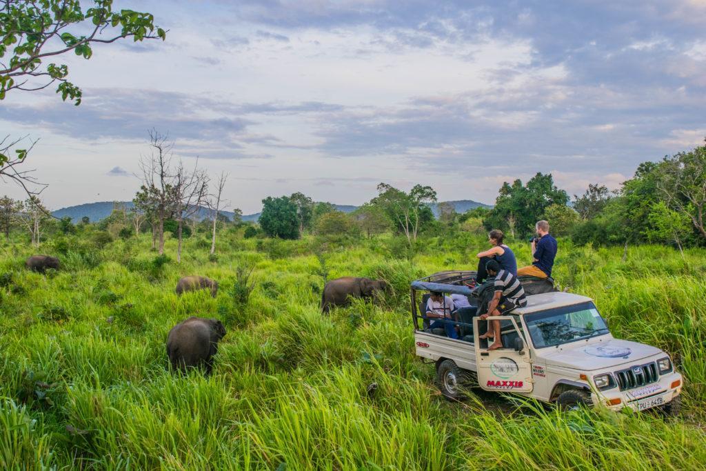 Sundari Eco Village Habarana Luaran gambar